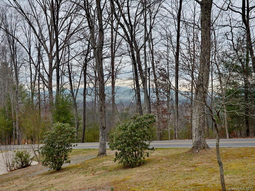 861 Case Cove Road - Photo 3