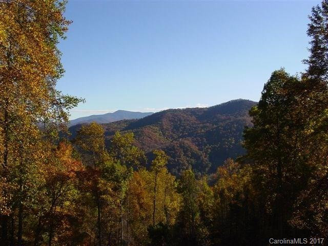 311 Jacks Knob Road - Photo 22