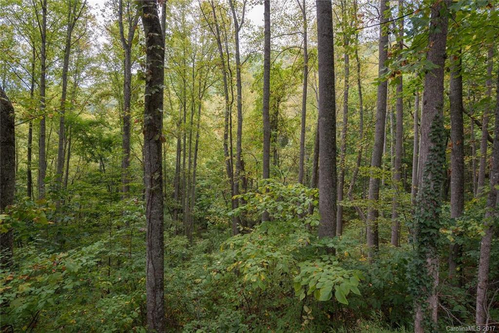 180 Pink Fox Cove Road - Photo 22