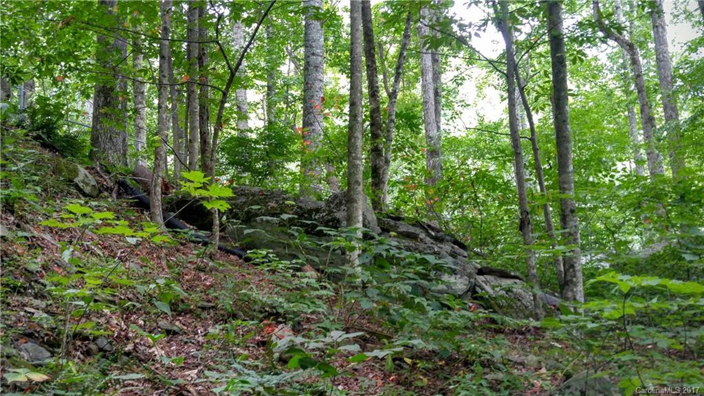 80 Bear Trail - Photo 17