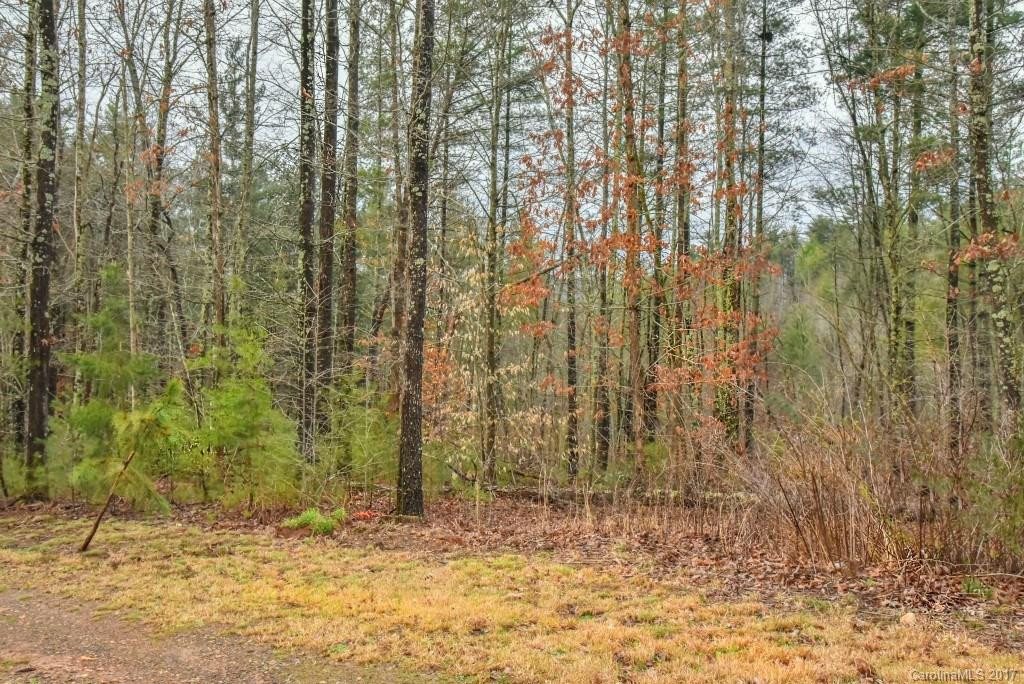 37 Bango Drive - Photo 4