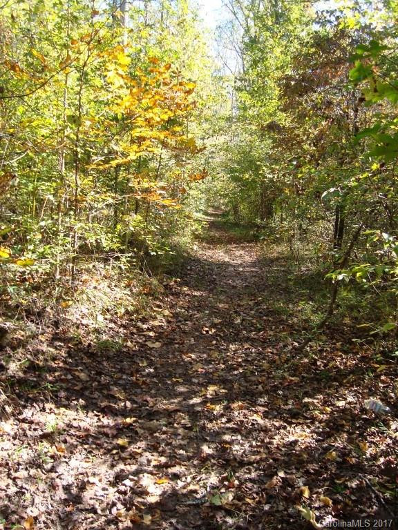 441 Smith Dairy Road - Photo 14
