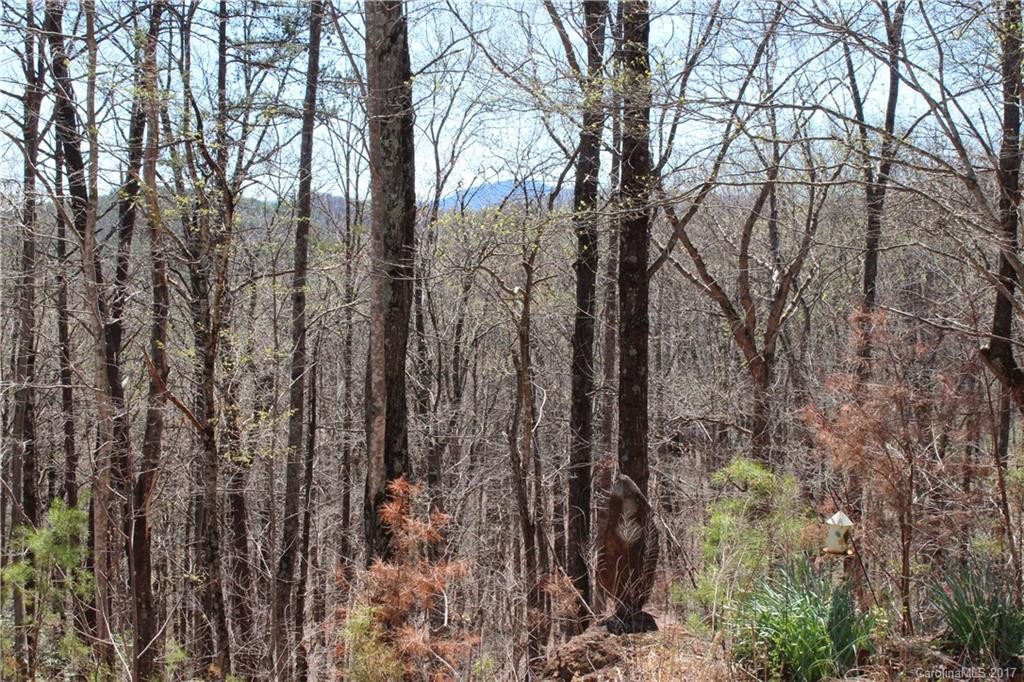 385 Judes Gap Road - Photo 18