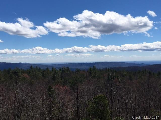 506 Toxaway Views Drive #506 - Photo 14