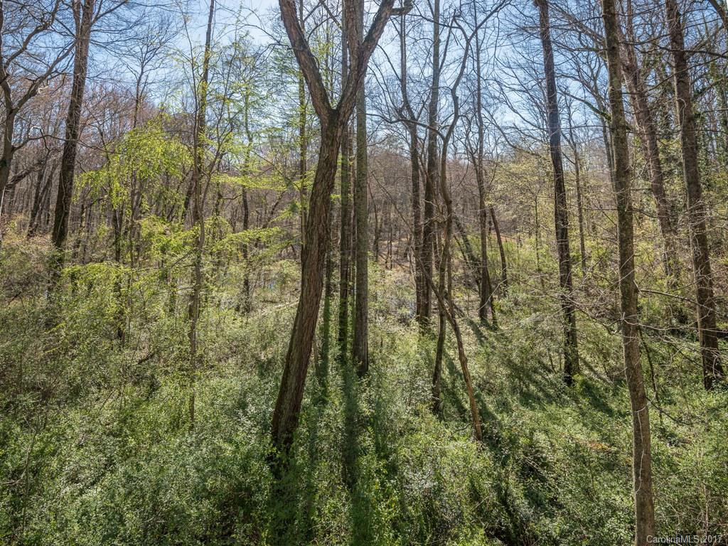 3016 Chestnut Tree Road - Photo 19