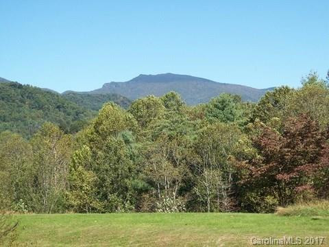 135 Terrys Trail Road - Photo 3