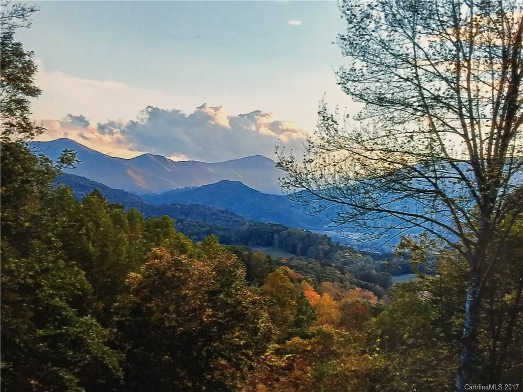 1461 Maple Springs Drive #Lot 18 - Photo 5
