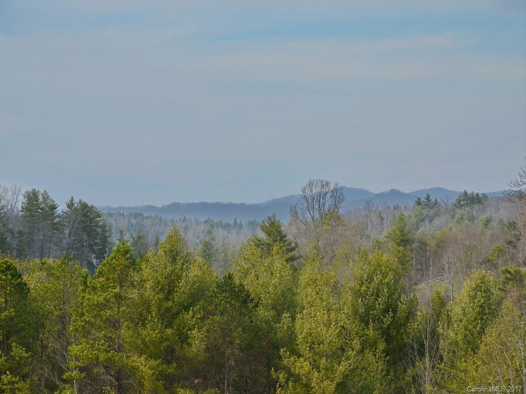 50 Elkins Branch Road - Photo 19