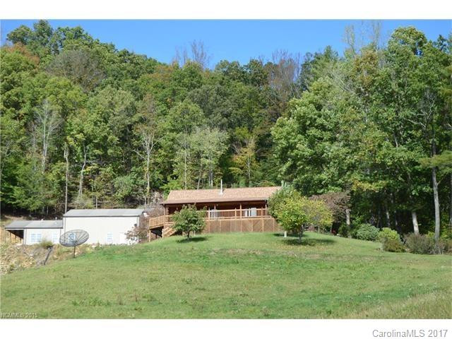 2205 Paint Fork Road - Photo 2