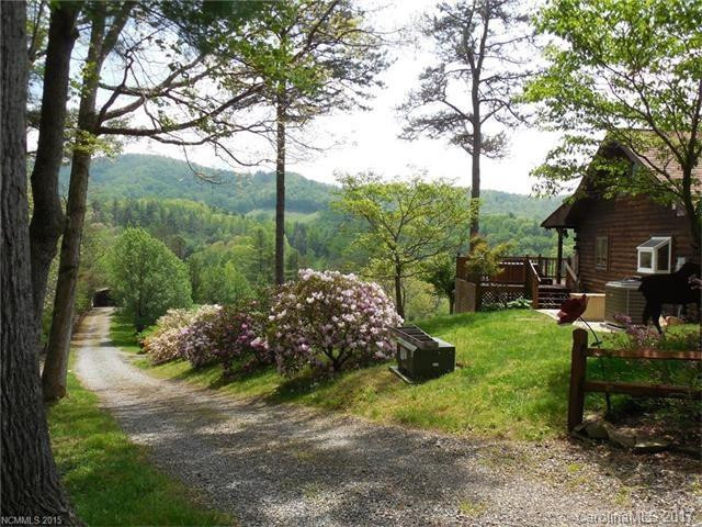 2205 Paint Fork Road - Photo 3