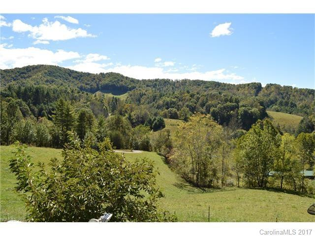 2205 Paint Fork Road - Photo 23