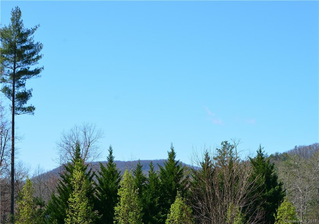 115 Jonathan Creek Drive #30 - Photo 3