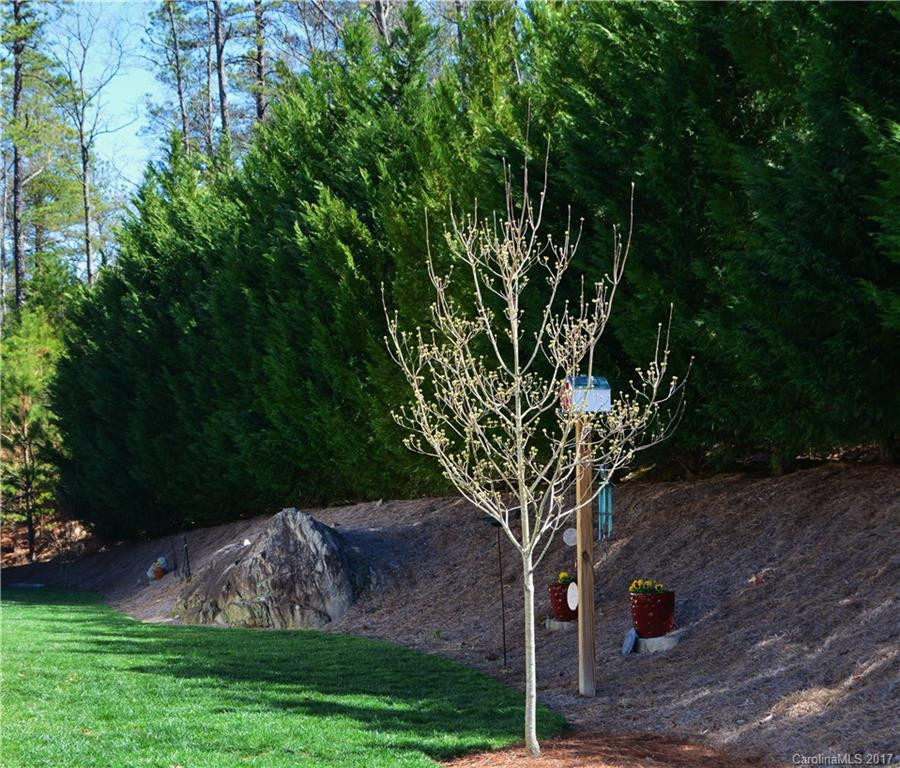 115 Jonathan Creek Drive #30 - Photo 22