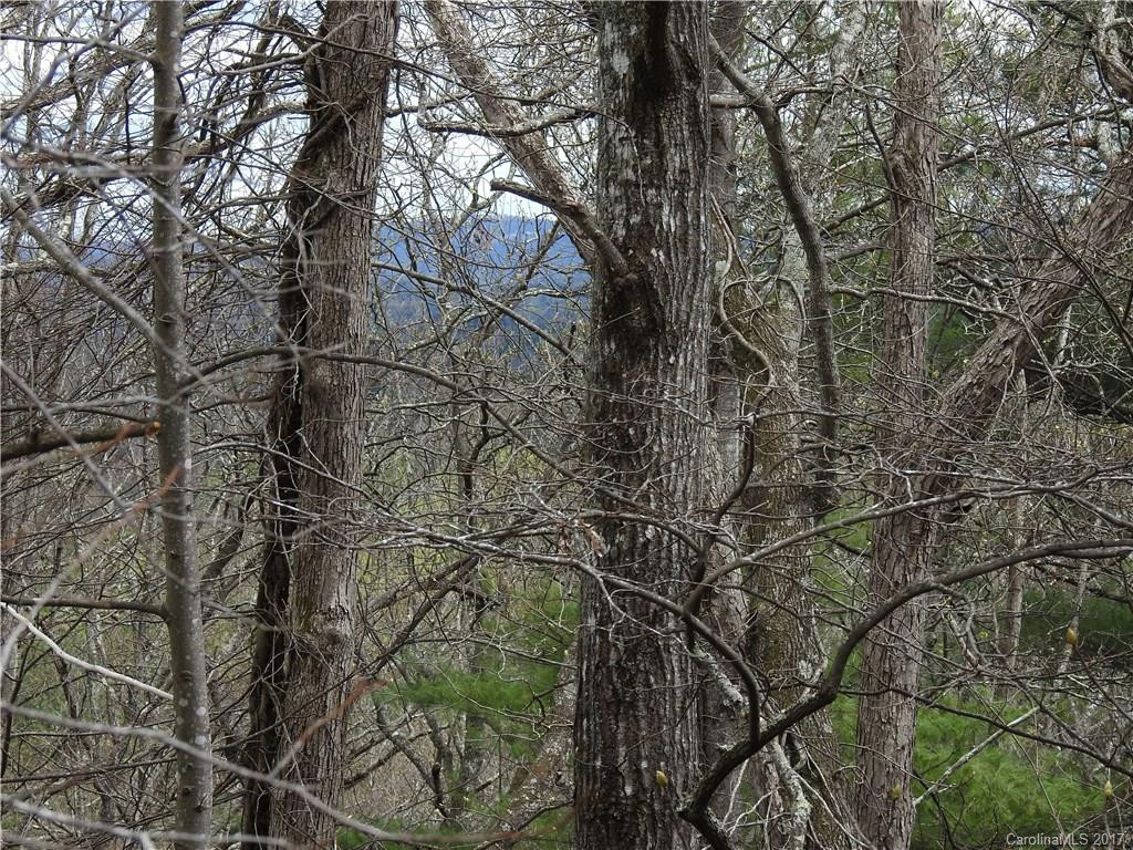 816 Greenwood Drive - Photo 24