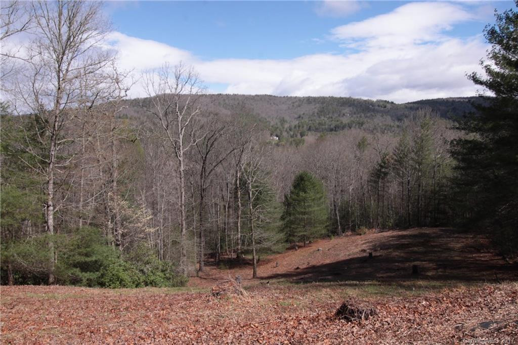 505 Bye Leaf Cove Road - Photo 4