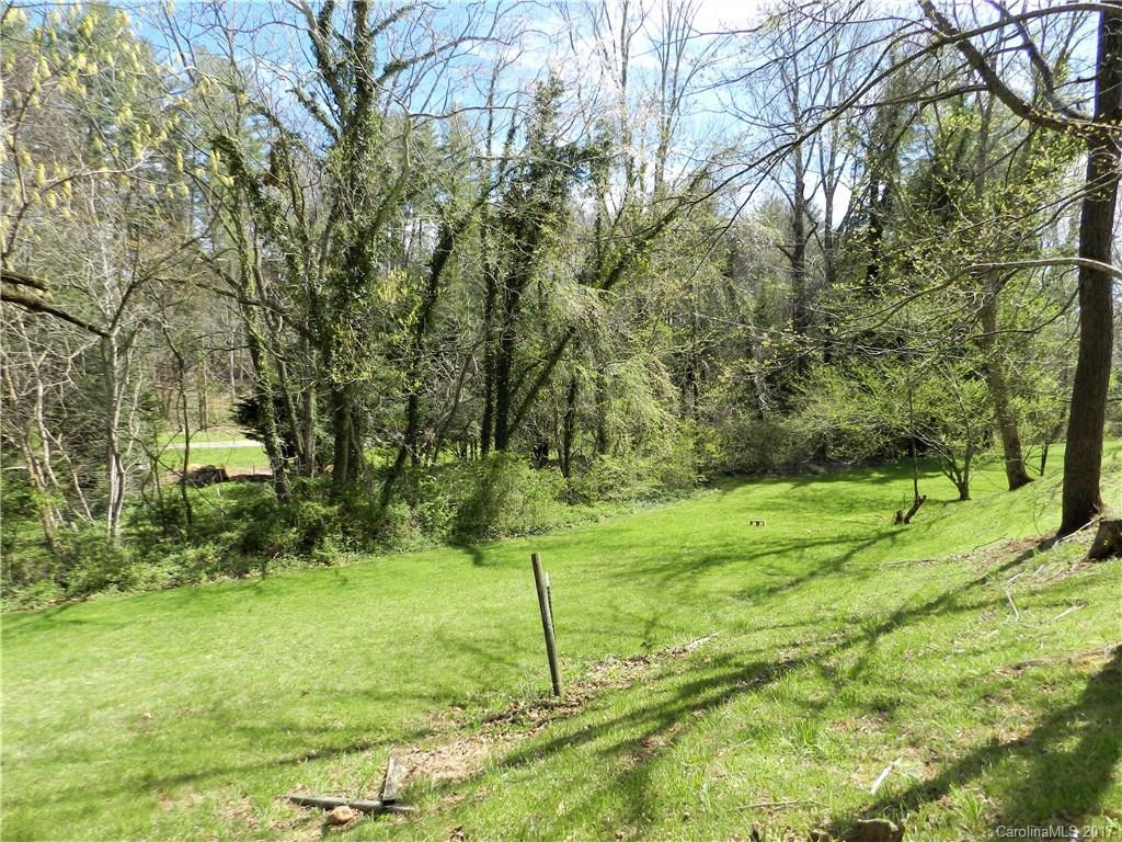 705 New Haw Creek Road - Photo 3