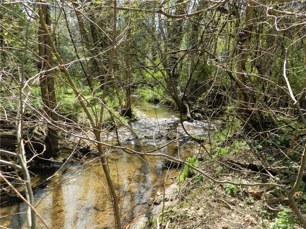 705 New Haw Creek Road - Photo 4