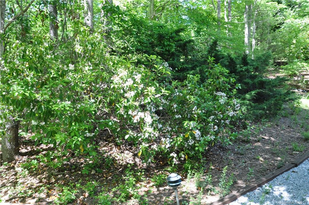 10 Duck Pond Lane - Photo 23
