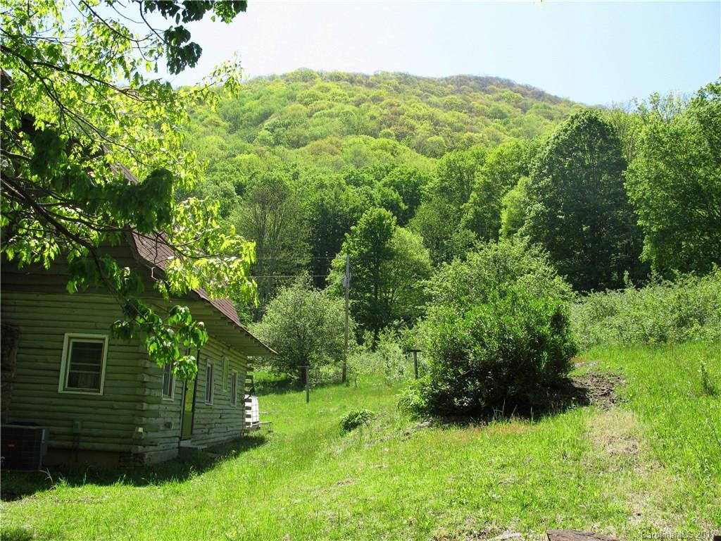19895 NC 209 Highway - Photo 16