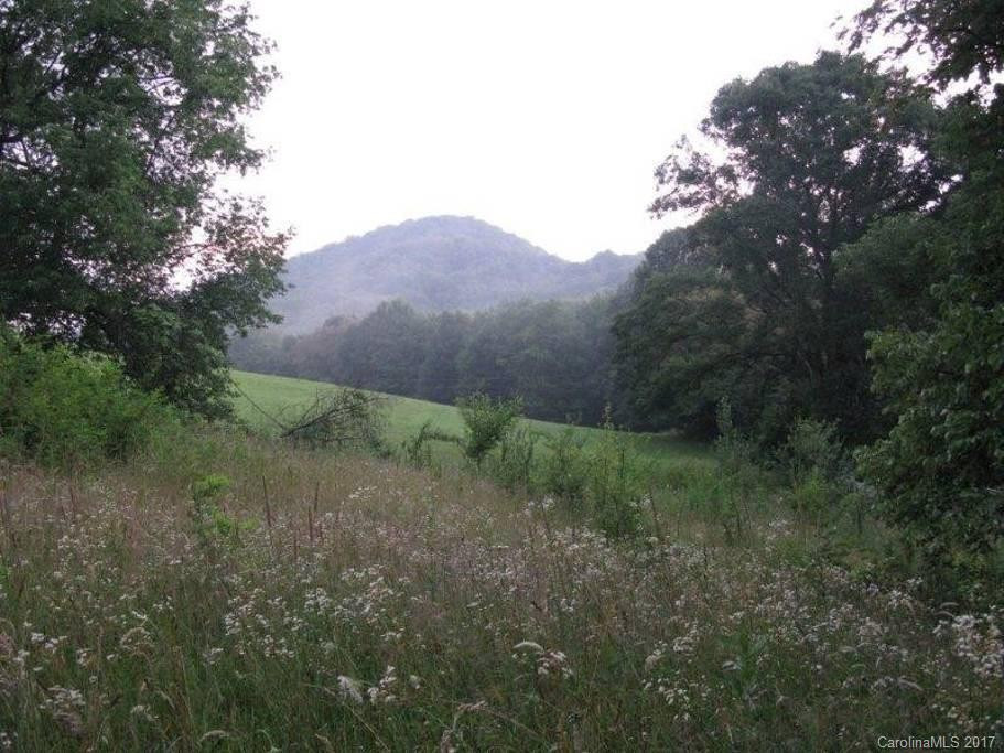 19895 NC 209 Highway - Photo 17