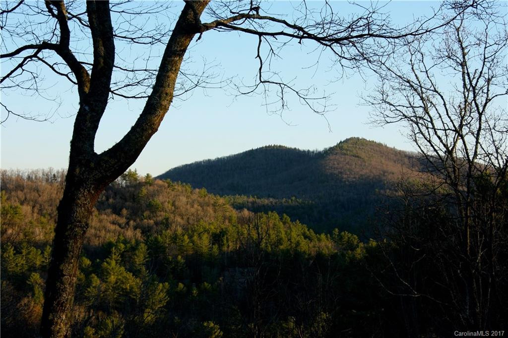 338 Winding Creek Road #8 - Photo 2
