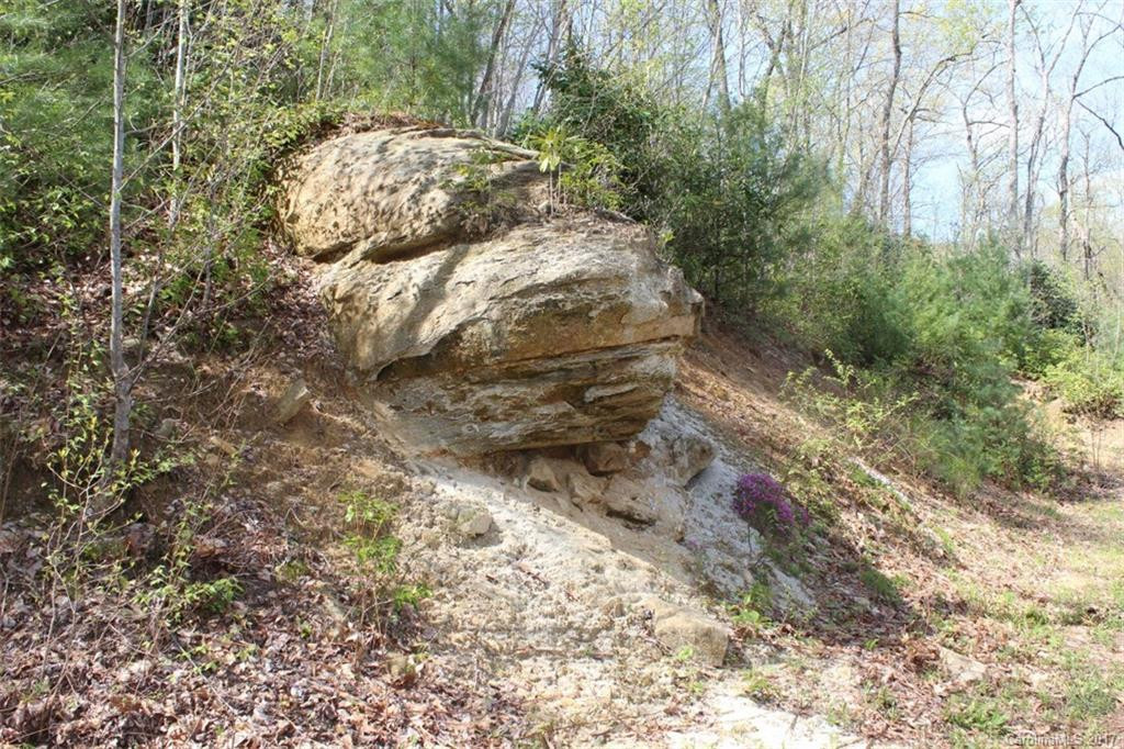 75 Bear Rock Loop #2 - Photo 20