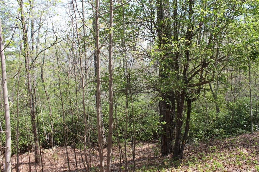 75 Bear Rock Loop #2 - Photo 21