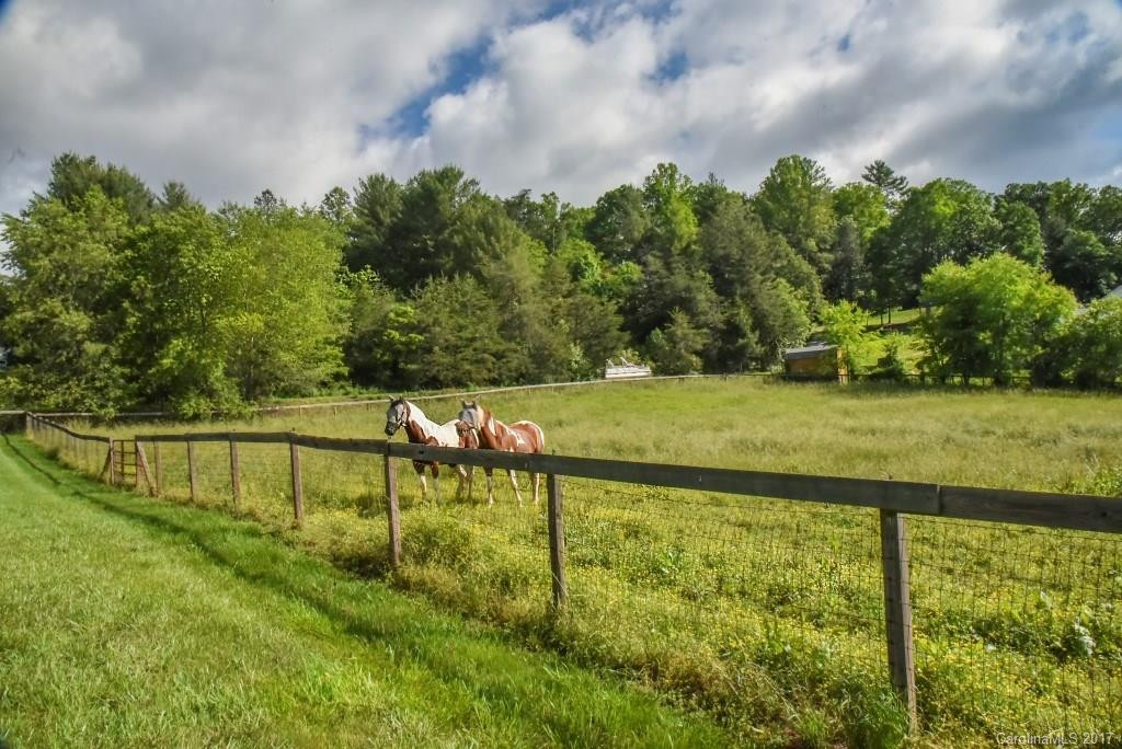 106 Turkey Creek Road - Photo 5