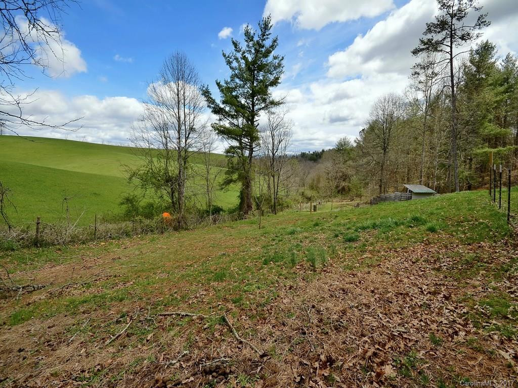 2709 Bear Creek Road - Photo 4