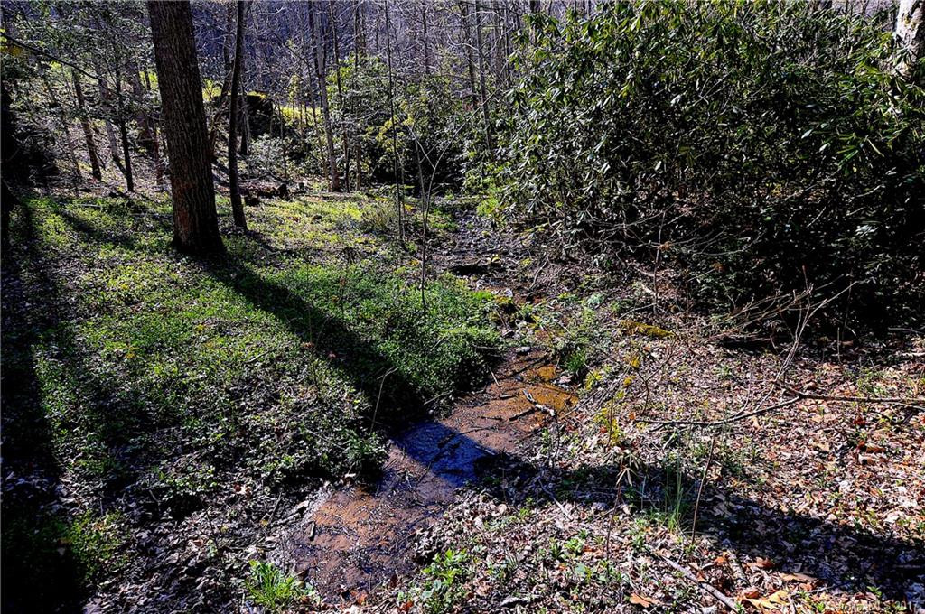 168 Balsam Shadows Road - Photo 14