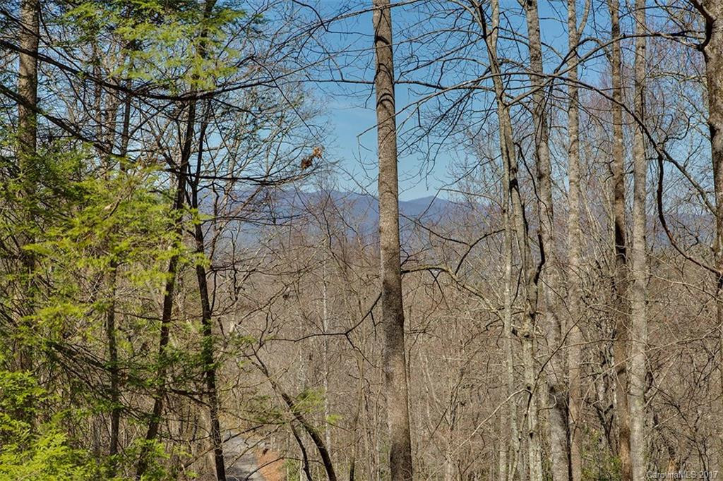 741 Three Mile Knob Road - Photo 11