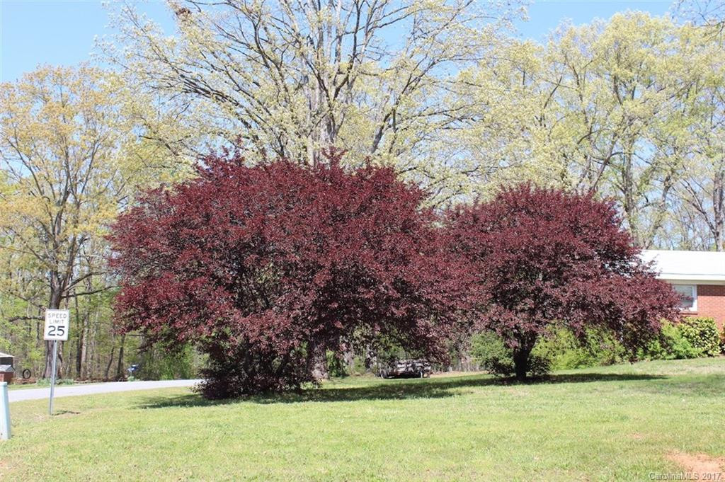 441 Sunset Memorial Road - Photo 5