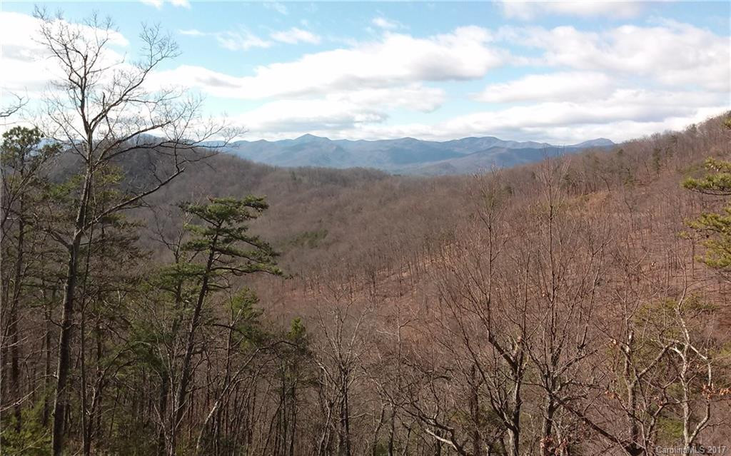 358 Double view Drive - Photo 2