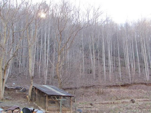 346 Simms Fork Road - Photo 4