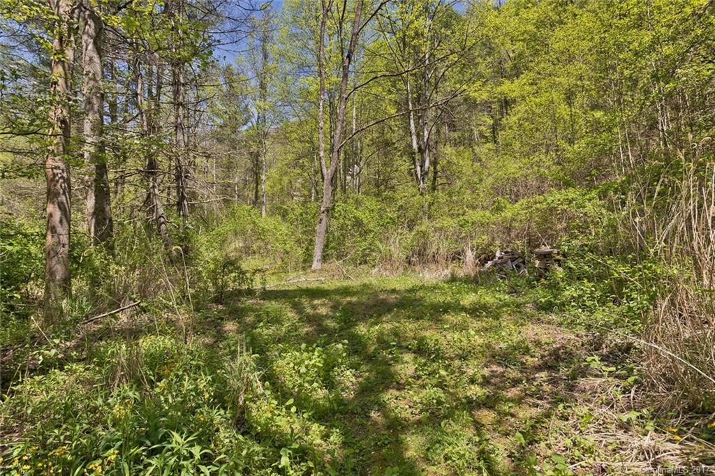 124 Wilds Branch Road - Photo 22