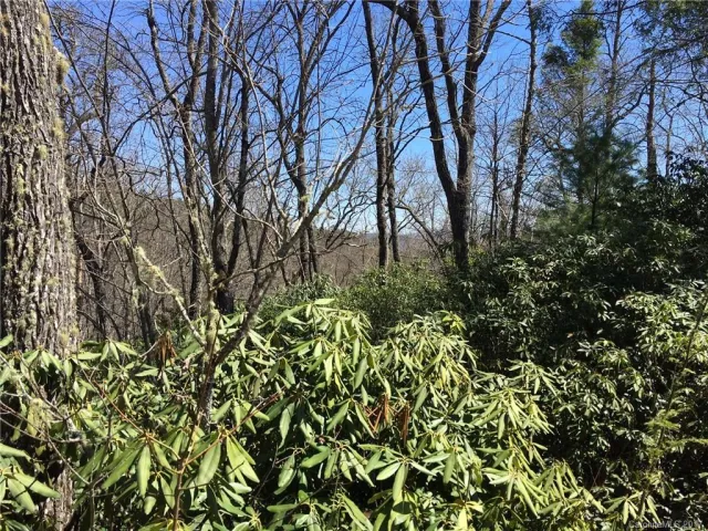 M80 Pine Mountain Trail