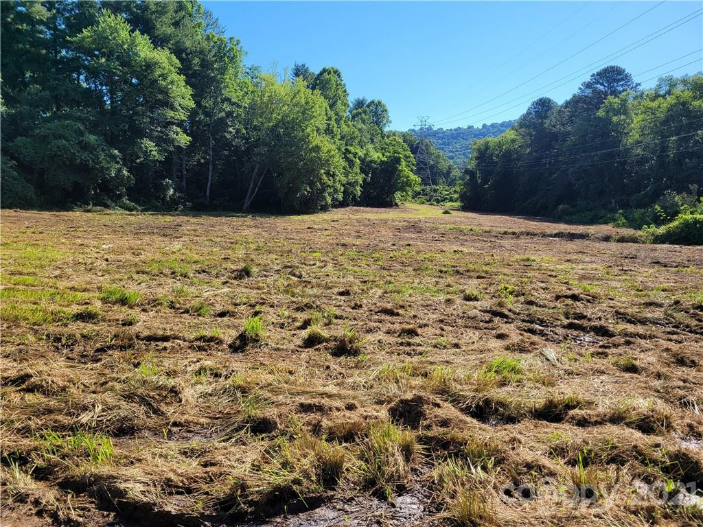 99999 Hendersonville Road - Photo 7