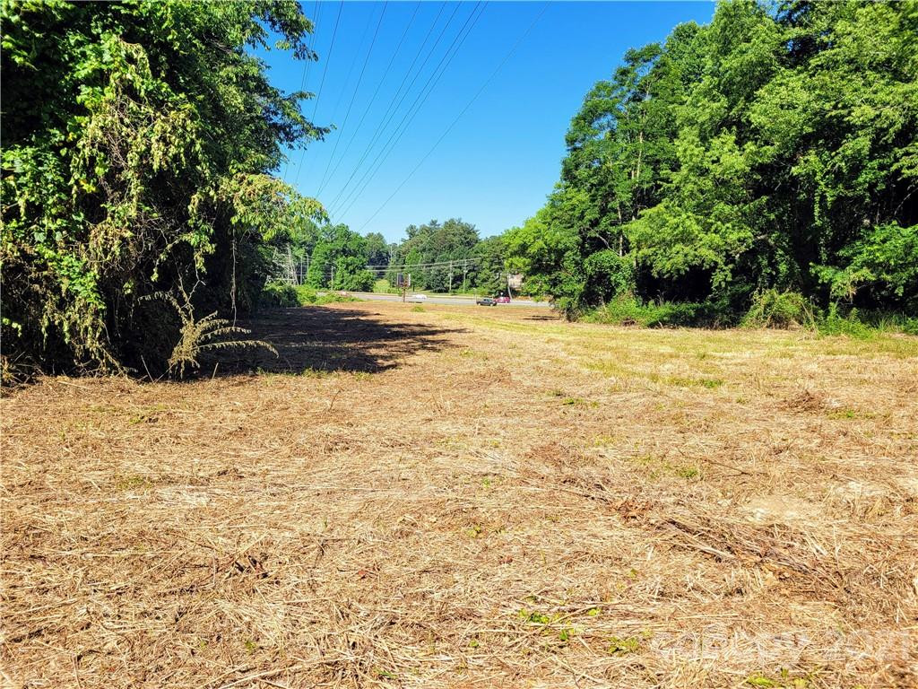 99999 Hendersonville Road - Photo 9