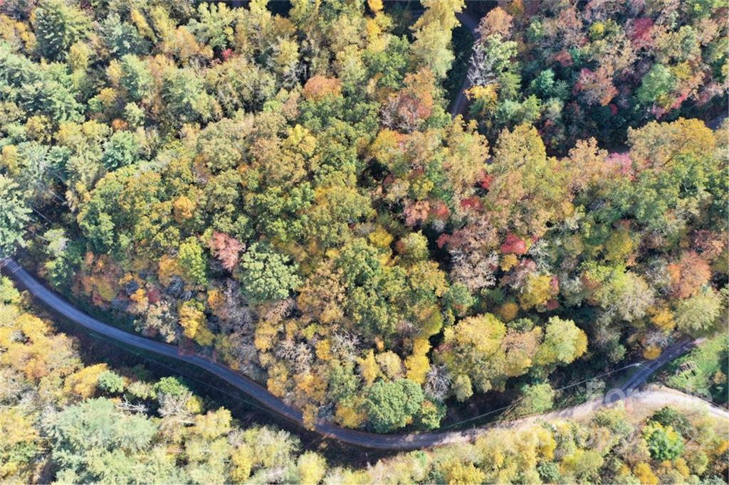 VL25 Mountain Forest Road - Photo 5