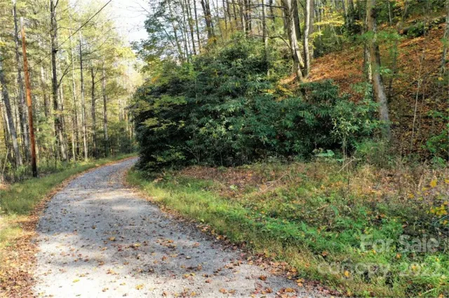 VL40 Mountain Forest Estates None