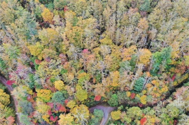 VL74 Mountain Forest Estates None