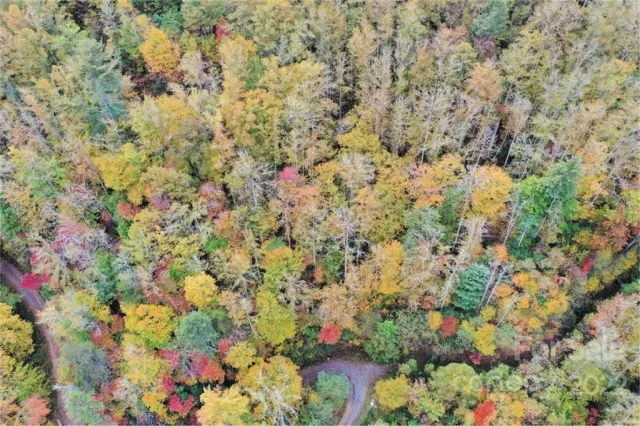 VL74 Mountain Forest Estates None