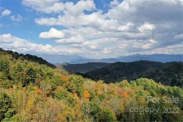 VL63 Mountain Forest Estates None