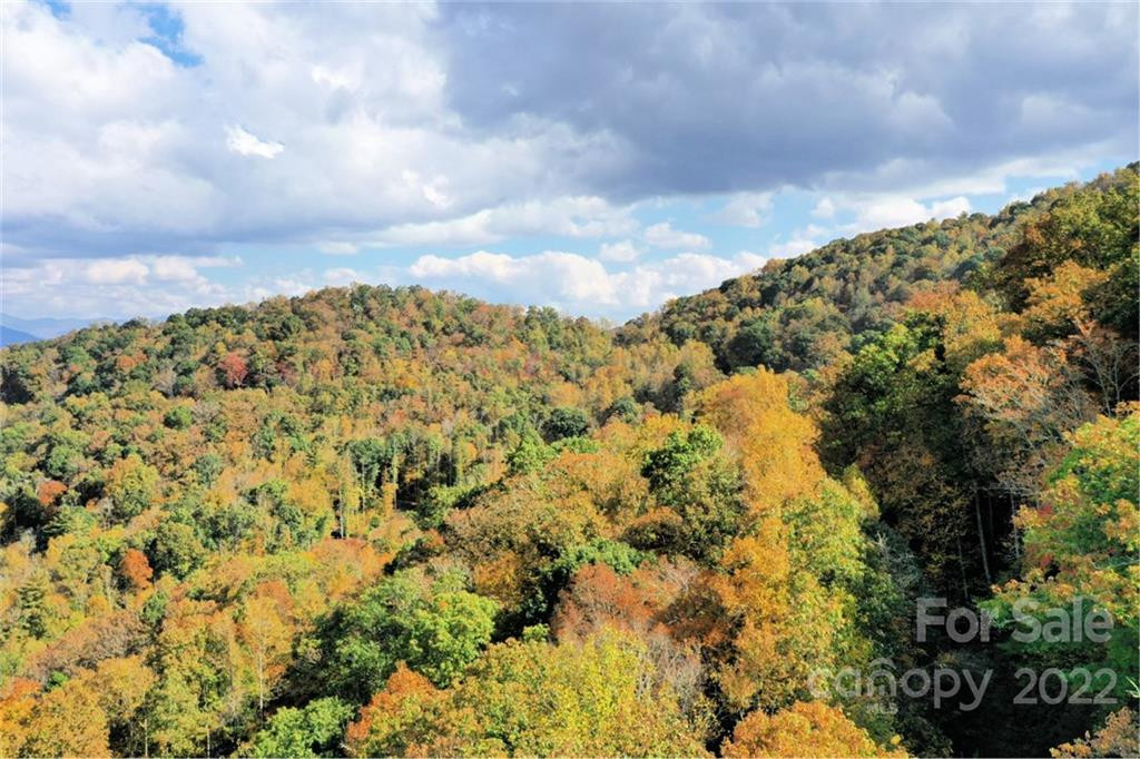 VL63 Mountain Forest Estates None - Photo 4