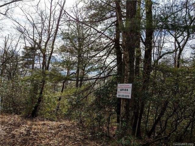 000 Dogwood Drive, Penrose, NC, 28766