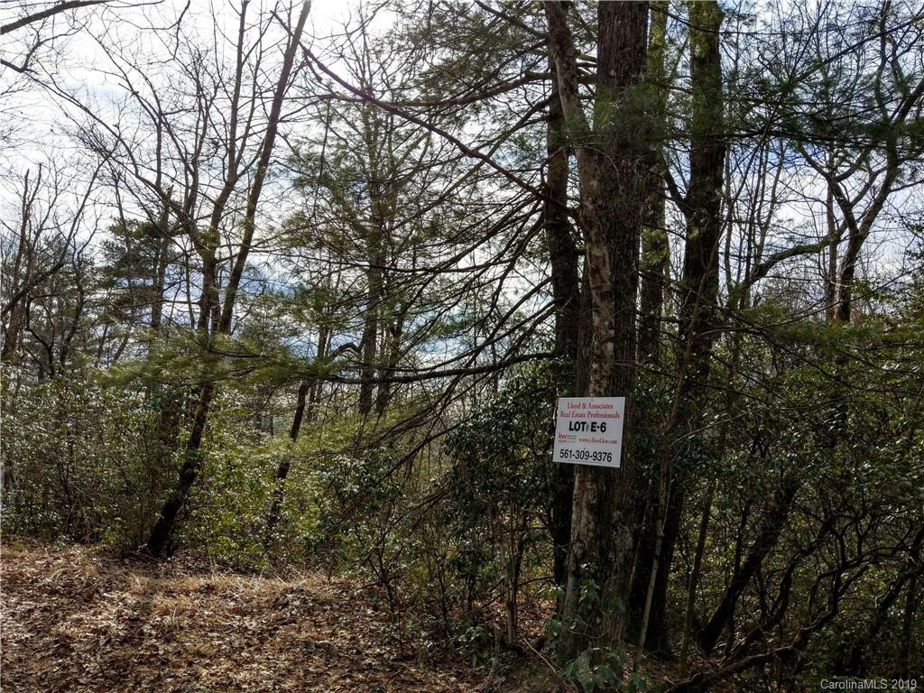 000 Dogwood Drive #E6