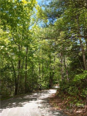 000 Dogwood Drive, Penrose, NC, 28766