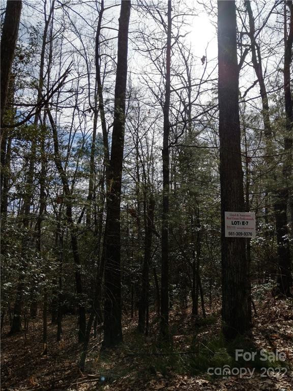 000 Dogwood Drive #E7 - Photo 2