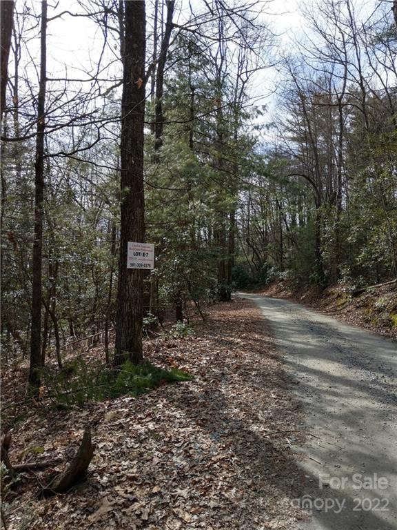 000 Dogwood Drive #E7 - Photo 3