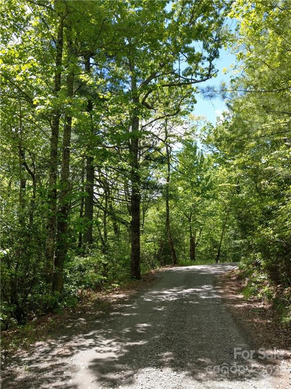 000 Dogwood Drive #E7 - Photo 5